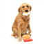 FuzzYard Dog's Breakfast plush dog toys, pack of 3