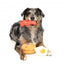 FuzzYard Dog's Breakfast plush dog toys, pack of 3