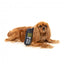 Squeaky plush dog toy FuzzYard Retro Nokidog