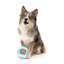 Squeaky plush dog toy FuzzYard Retro Tamadogchi