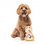 Squeaky squirrel plush dog toy FuzzYard Ashleigh