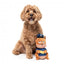 Squeaky squirrel plush dog toy FuzzYard Curbside Carl