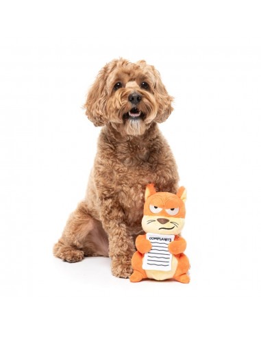 Squeaky squirrel plush dog toy FuzzYard Karen