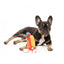 Squeaky plush dog toy FuzzYard The Homies Franky