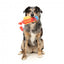 Squeaky plush dog toy FuzzYard The Homies Franky