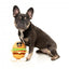 FuzzYard The Homies Patty Plush Dog Toy with Squeaker