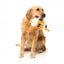FuzzYard The Homies Steinzy Plush Dog Toy with Squeaker