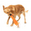 FuzzYard The Yeetz Farewell Fox Plush Dog Toy with Squeaker