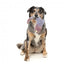 FuzzYard The Yeetz Peace Out Pigeon Plush Dog Toy with Squeaker