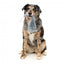 FuzzYard The Yeetz Rack Off Rat Plush Dog Toy with Squeaker