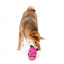 FuzzYard Y2K Angel Slipper Plush Dog Toy with Squeaker