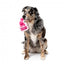 FuzzYard Y2K Better Than You Parfum Plush Dog Toy with Squeaker