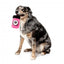 FuzzYard Y2K Digicam plush dog toy, digital camera