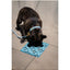 Dog lick mat FuzzYard Life Hide & Treat French Blue