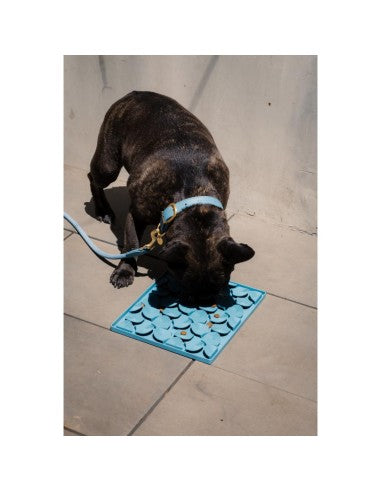Dog lick mat FuzzYard Life Hide & Treat French Blue
