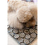 Dog lick mat FuzzYard Life Hide & Treat Sandstone