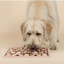 Dog lick mat FuzzYard Life Hide & Treat Soft Blush