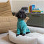 FuzzYard Life soft-touch dog pyjamas, Myrtle Green