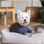 FuzzYard Life soft-touch dog pyjamas, Slate Grey