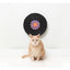 Rotating Cat Scratcher FuzzYard Record Cat Caturday Night Fever