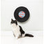 Rotating Cat Scratcher FuzzYard Record Cat Kendrick Lemeow