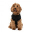 FuzzYard Easily Distracted by Food dog hoodie (size 1)