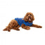FuzzYard The Homies dog hoodie, blue (size 1)