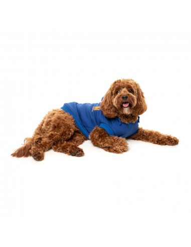 FuzzYard The Homies dog hoodie, blue (size 1)