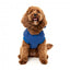 FuzzYard The Homies dog hoodie, blue (size 1)