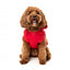 FuzzYard The Homies dog hoodie, red (size 1)