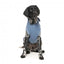 FuzzYard Treats dog hoodie, blue (size 6)