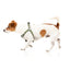 FuzzYard FY Active Strap adjustable dog harness, khaki (size XS)
