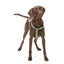 FuzzYard FY Active Strap adjustable dog harness, khaki (size XS)