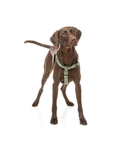 FuzzYard FY Active Strap adjustable dog harness, khaki (size XS)