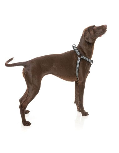 FuzzYard FY Active Strap adjustable dog harness, black (size XS)