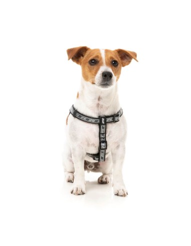 FuzzYard FY Active Strap adjustable dog harness, black (size XS)