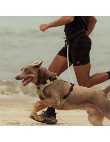 FuzzYard FY Active Running Belt for Dogs, Size S/M
