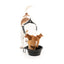 FuzzYard FY Active Collapsible Silicone Dog Bowl, 500 ml