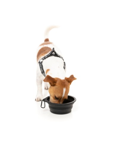 FuzzYard FY Active Collapsible Silicone Dog Bowl, 500 ml