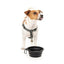 FuzzYard FY Active Collapsible Silicone Dog Bowl, 500 ml