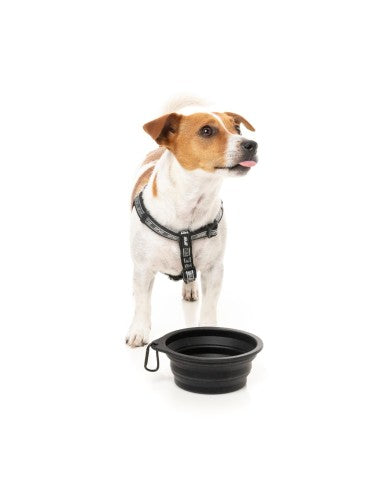 FuzzYard FY Active Collapsible Silicone Dog Bowl, 500 ml