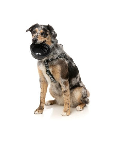 FuzzYard FY Active Collapsible Silicone Dog Bowl, 500 ml