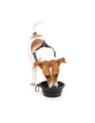 FuzzYard FY Active Collapsible Silicone Dog Bowl, 500 ml