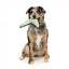 FuzzYard FY Active Flyer Boomerang Dog Toy in Khaki
