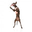 Flying dog toy FuzzYard FY Active Flyer, peach