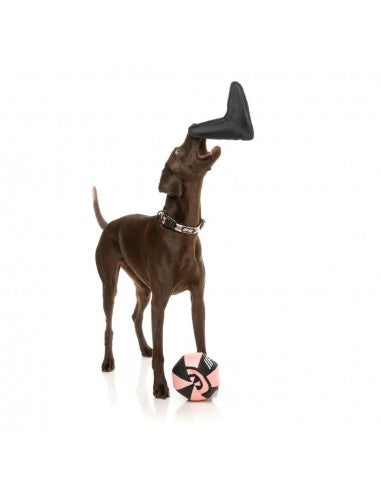 Flying dog toy FuzzYard FY Active Flyer, black
