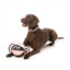 Dog tug ball FuzzYard FY Active Ball Tug, peach