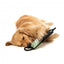 Rope tug dog toy FuzzYard FY Active Rope Tug, khaki