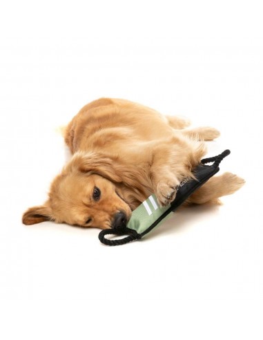 Rope tug dog toy FuzzYard FY Active Rope Tug, khaki