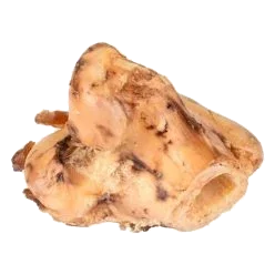 Nature Shin Bone for Dogs, 13-14 cm